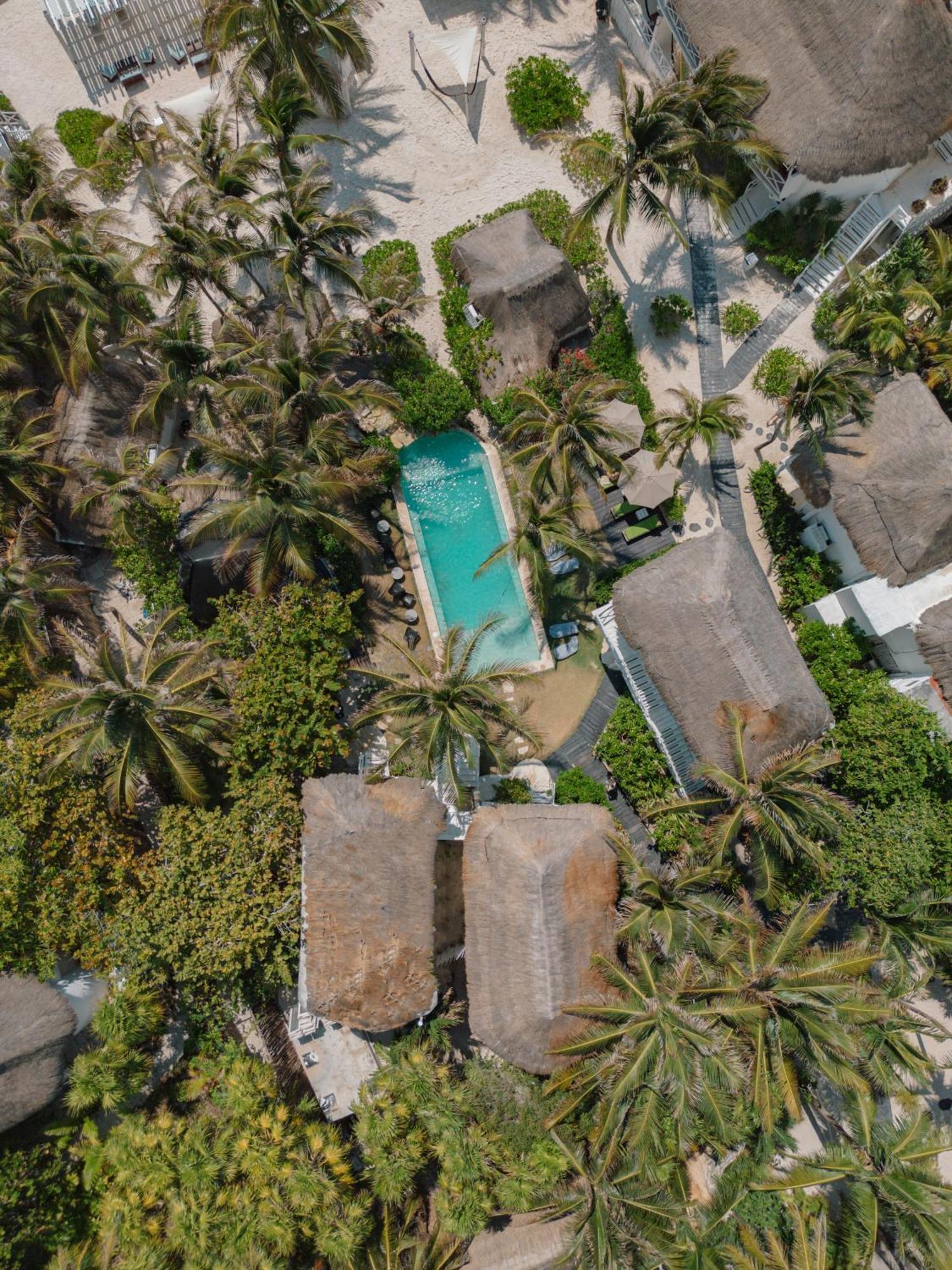 Coco Unlimited Hotell Tulum Exteriör bild